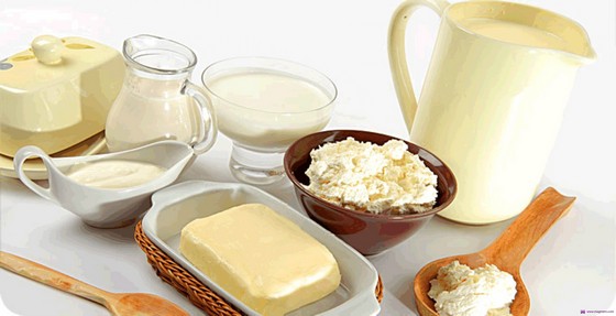 В ЗАО «Золотая нива» следят за содержанием белка в молоке